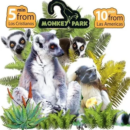 Beautiful Americas Playa Del Bobo 美洲海滩