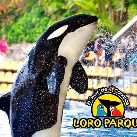 Beautiful Americas Playa Del Bobo 公寓 *